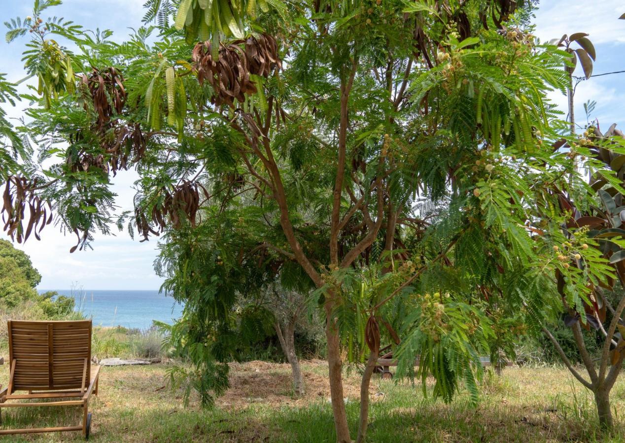 Kalamies - Secluded Beach Apartments Skala  ภายนอก รูปภาพ